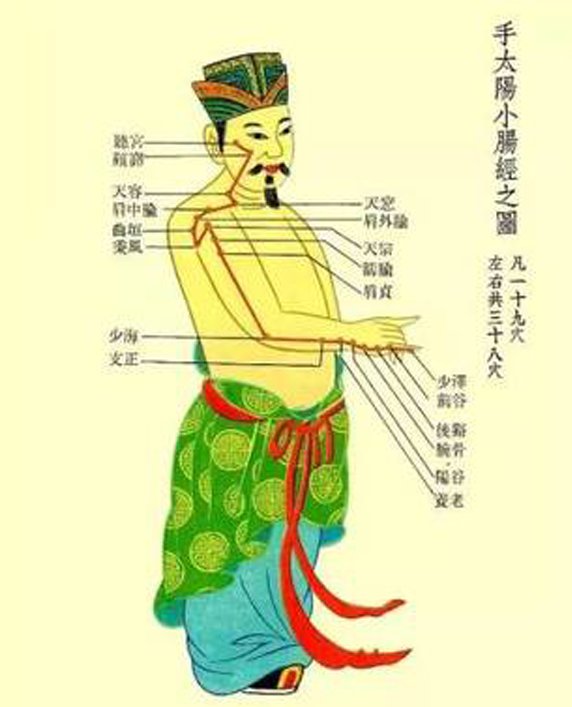 8,小肠经:拥有纤细手臂